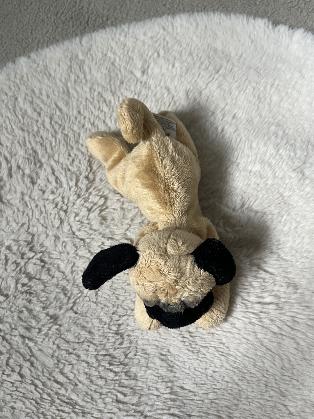 Little Dog Plush Toy - photo 2