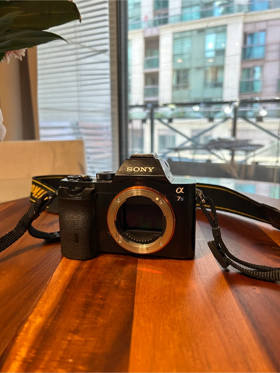 Sony Alpha a7S camera body