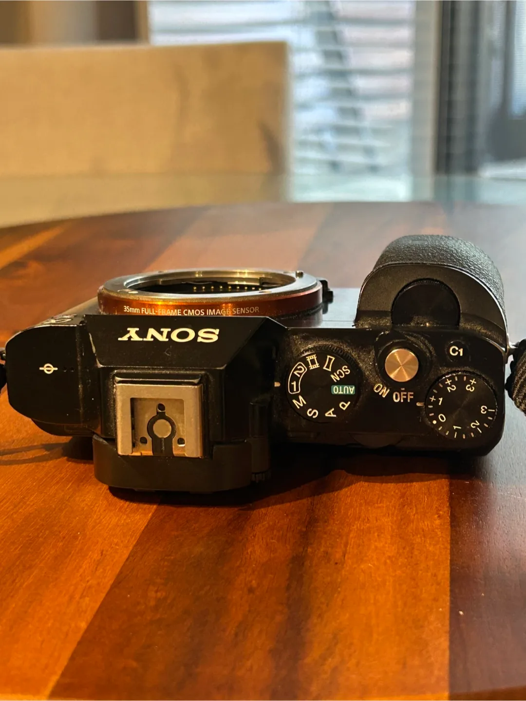 Sony Alpha a7S camera body image indicator(5)