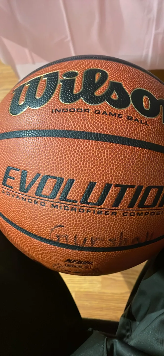 Wilson Evolution Indoor Game Basketball thumbnail