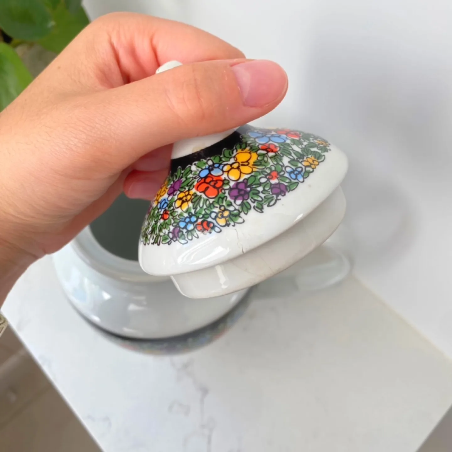 Jarolina (Made in Poland) Floral Dish Set image indicator(6)