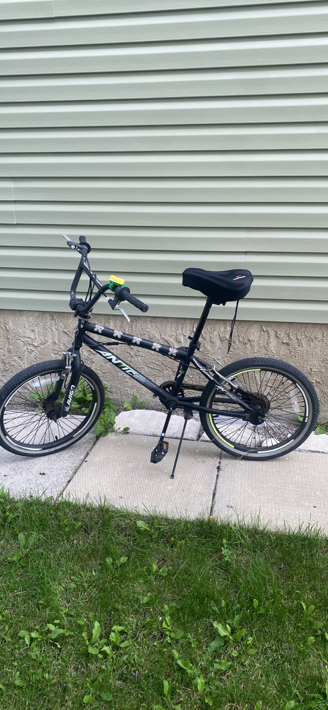 Avigo BMX Bike
