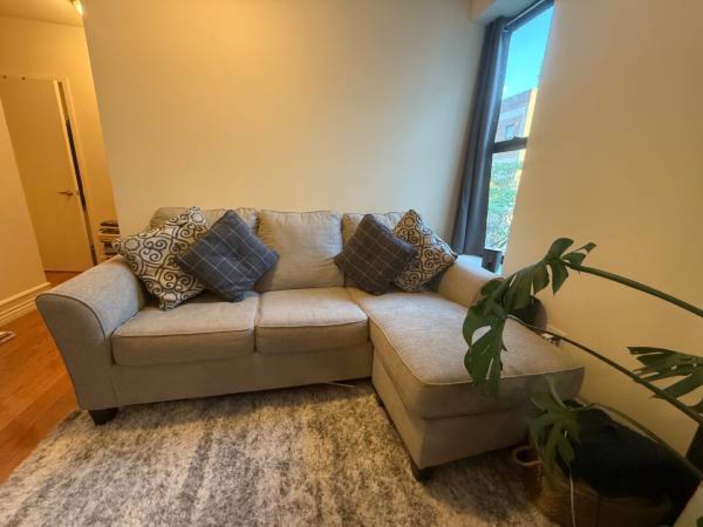 Cozy couch in Brooklyn