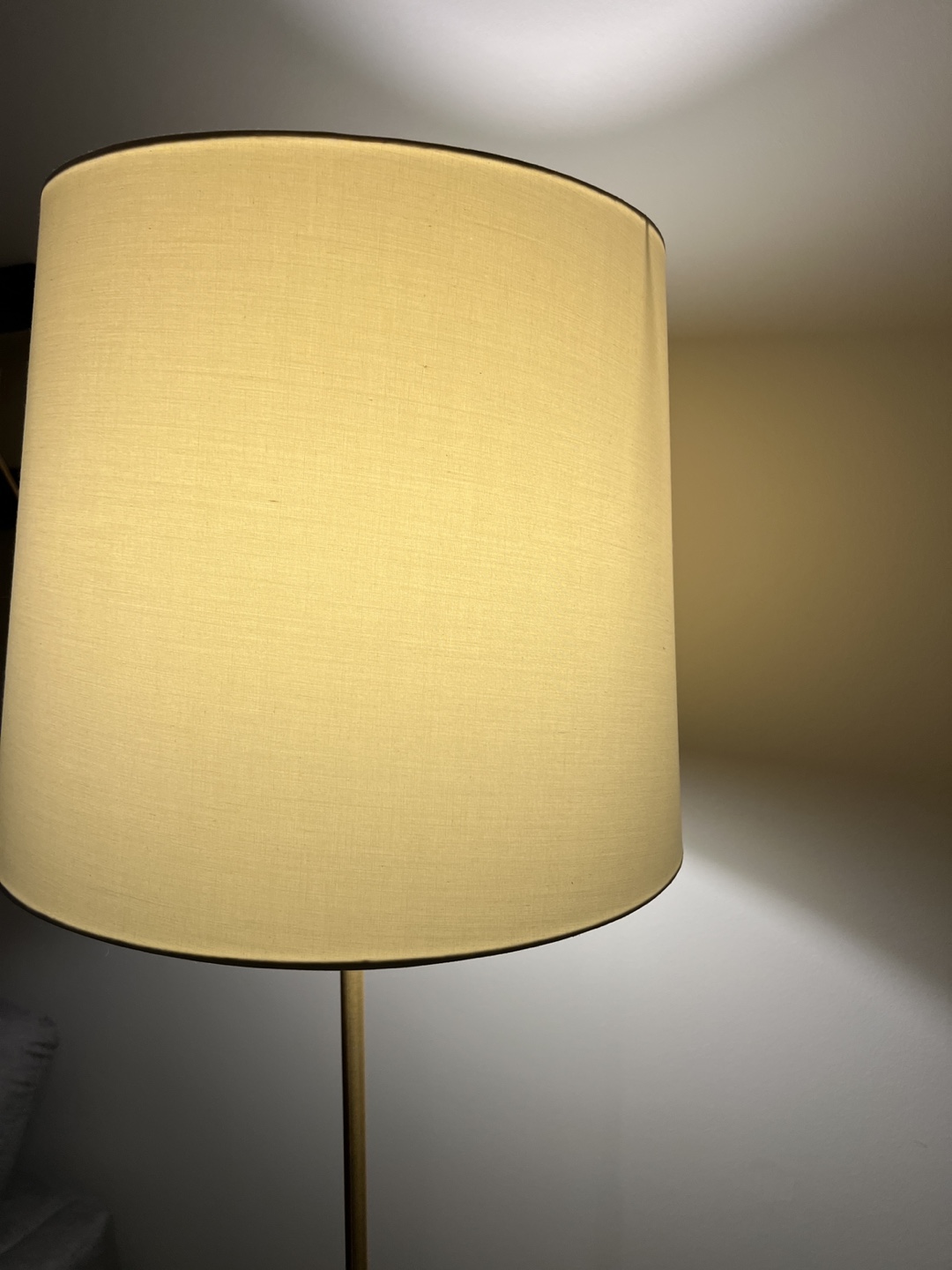 Floor Lamp - Gold and Black