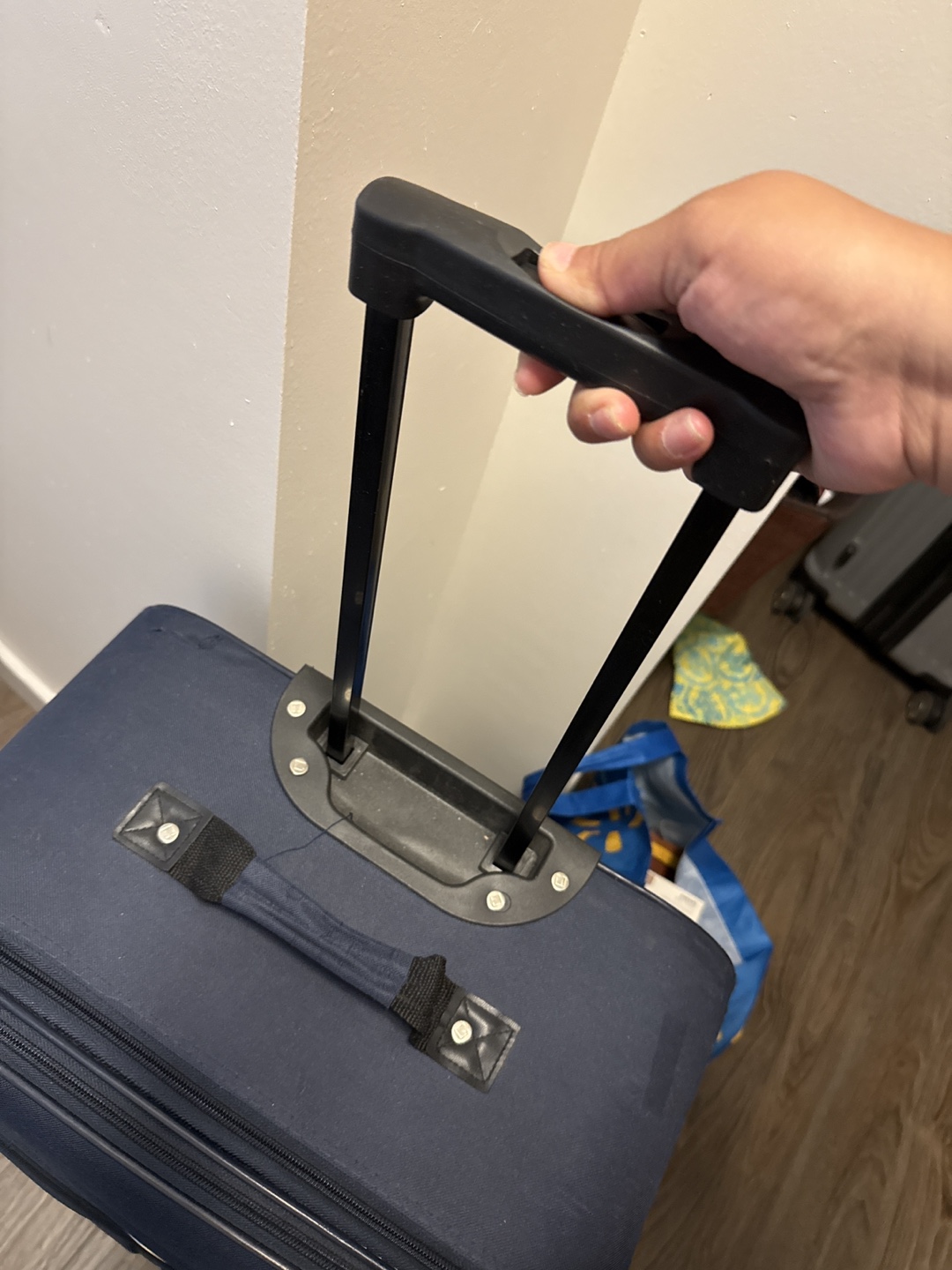 Check In Luggage - Navy Blue - photo 4