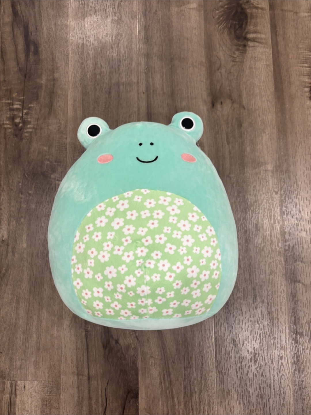 Squishmallow Wendy the frog with tag