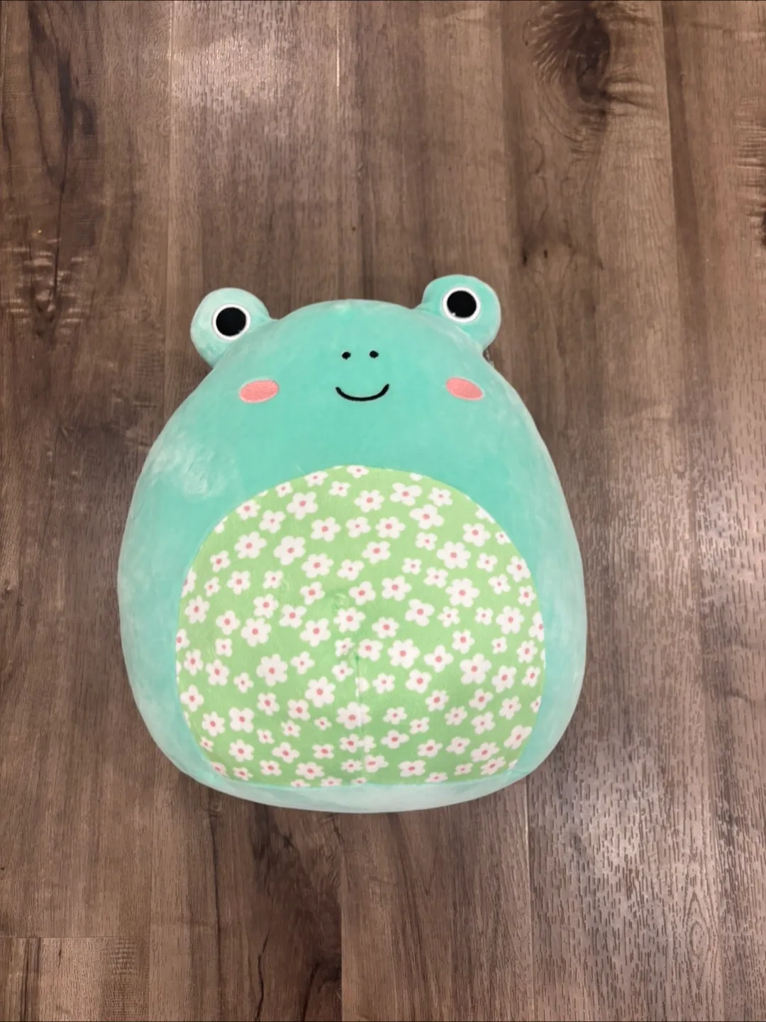Squishmallow Wendy the frog with tag thumbnail