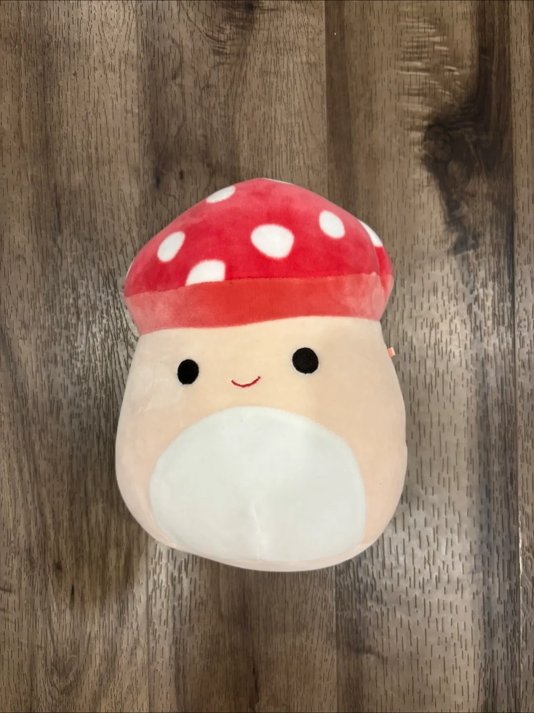 Squishmallows mushroom thumbnail
