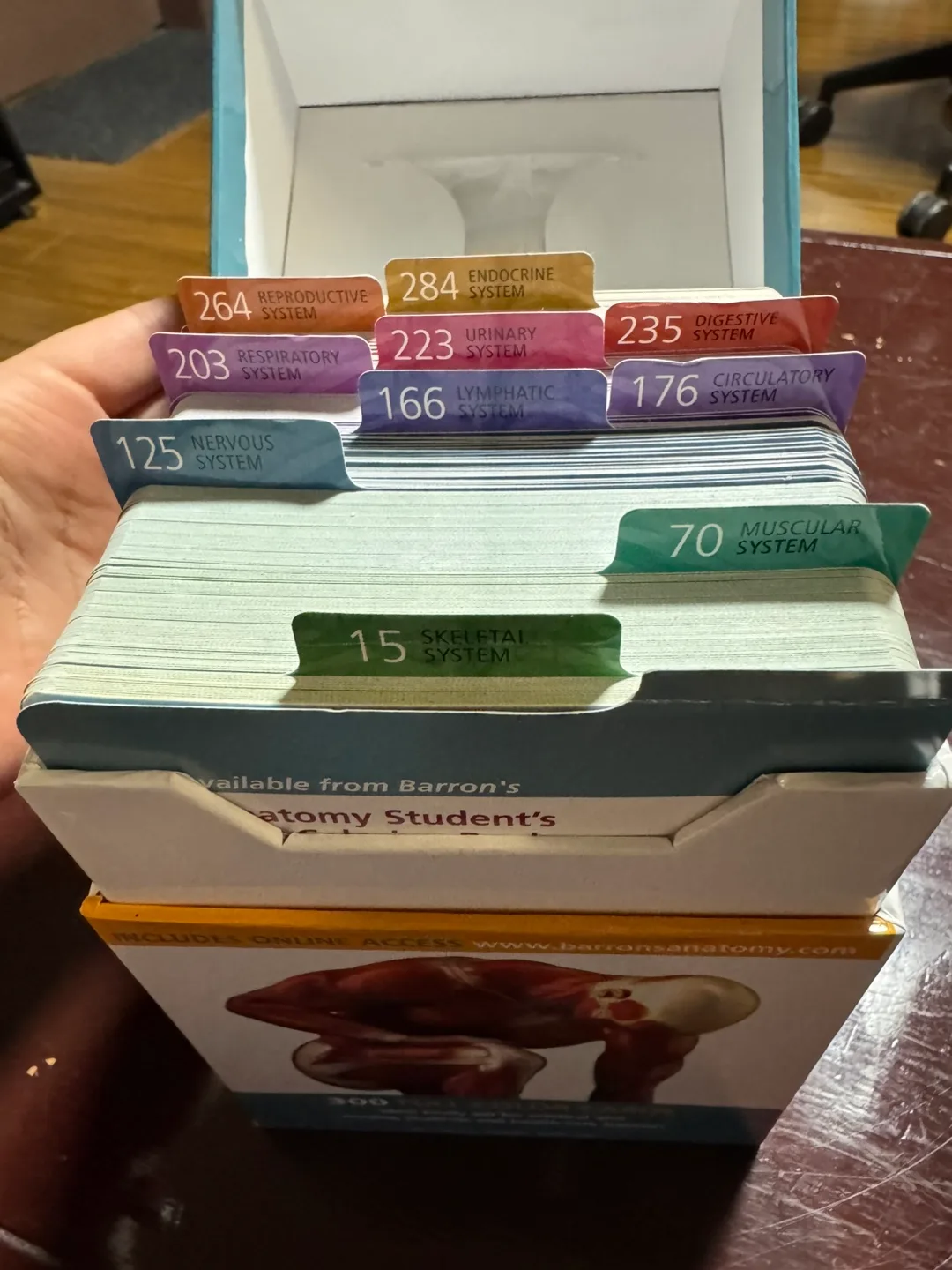 Barron's Anatomy Flash Cards 3rd Edition image indicator(2)