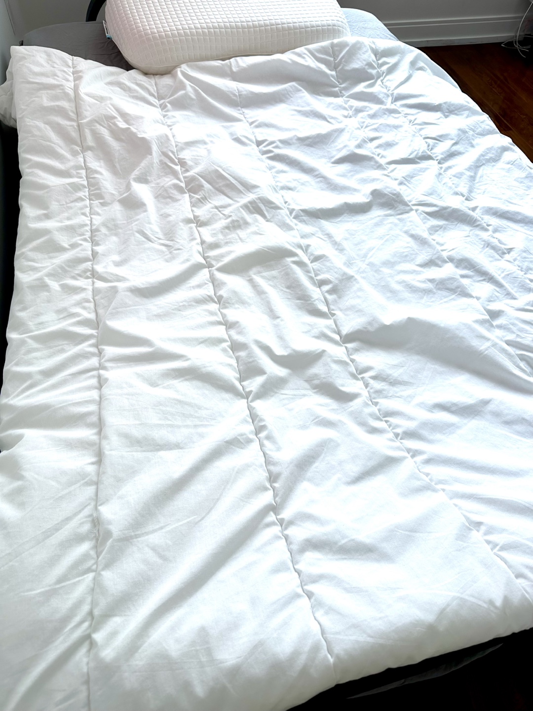 Ikea Duvet - Full/Queen Blanket