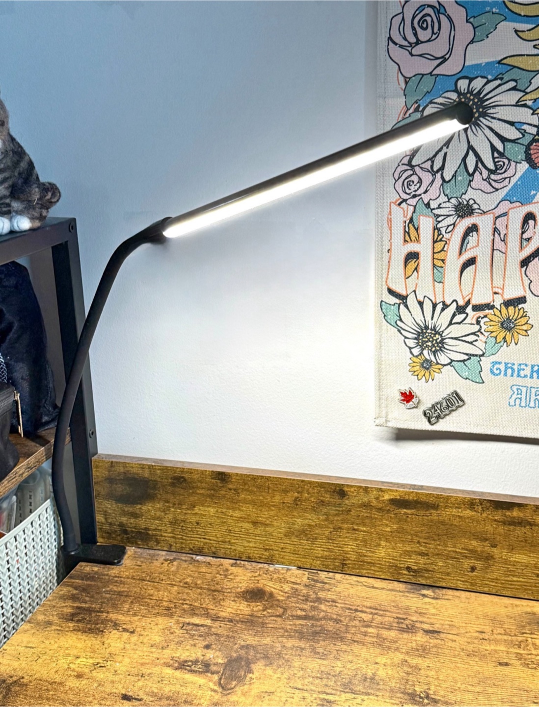 Desk LED lamp / Reading Light