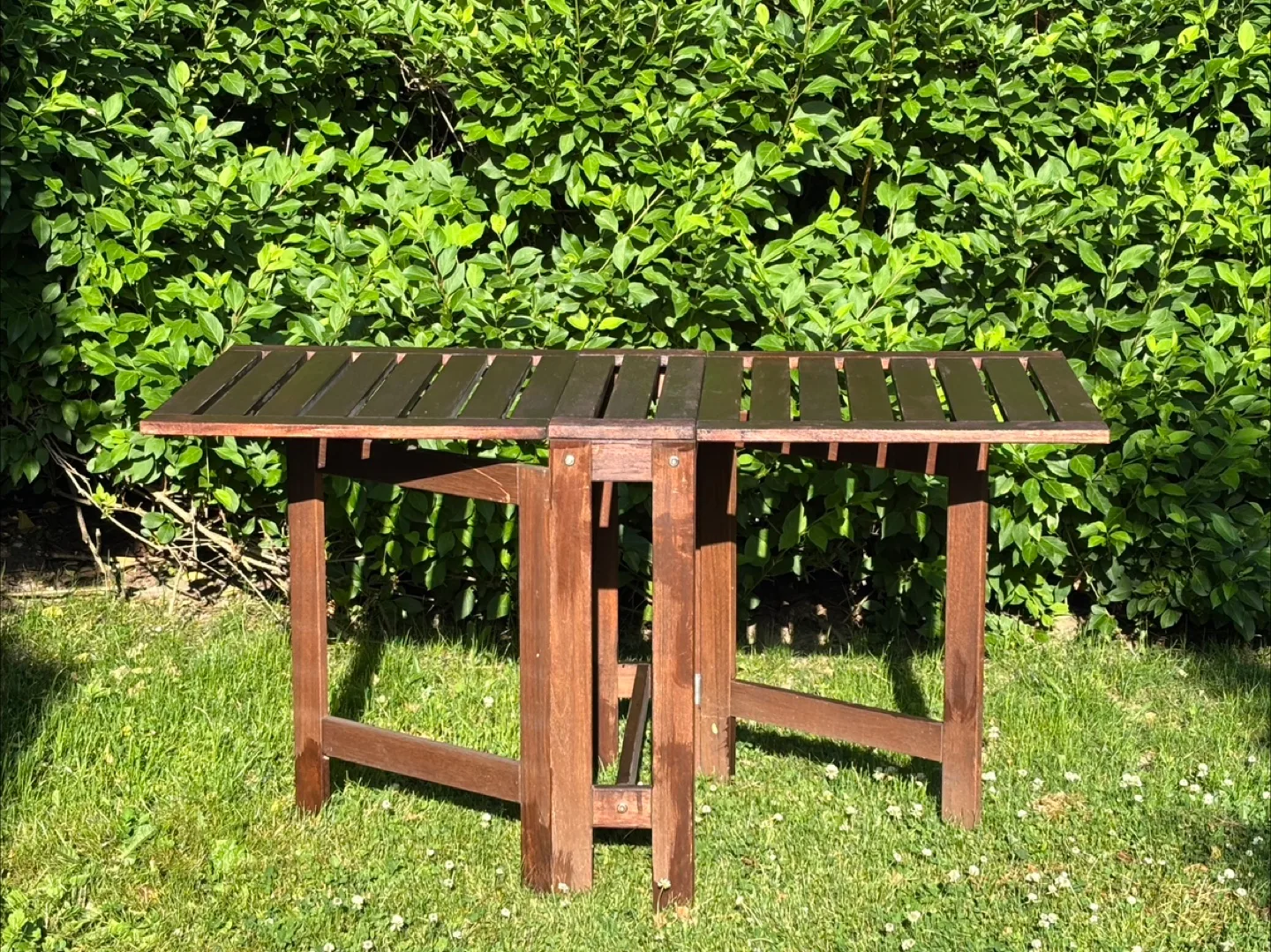 IKEA ÄPPLARÖ Gateleg Table + Stain thumbnail