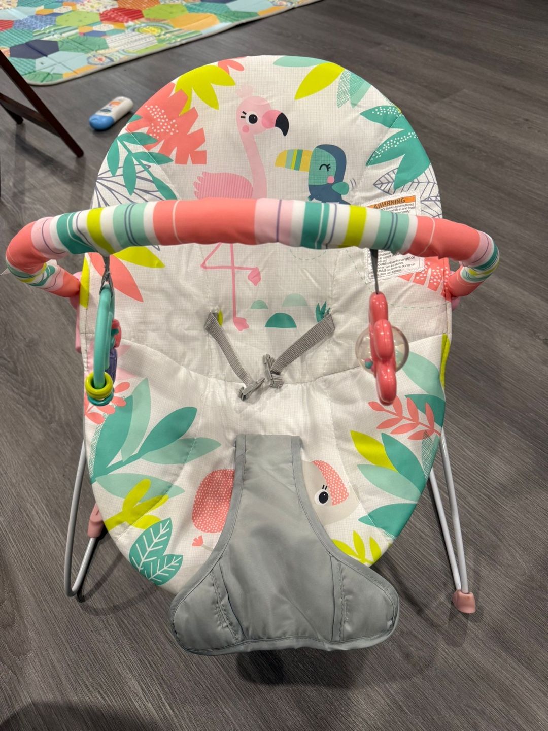Bright Starts Bouncer - Flamingo Fun!