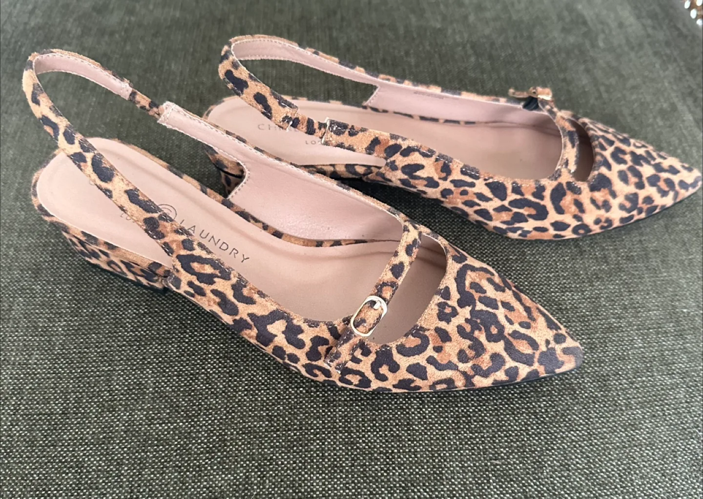 Leopard Flats image indicator(3)