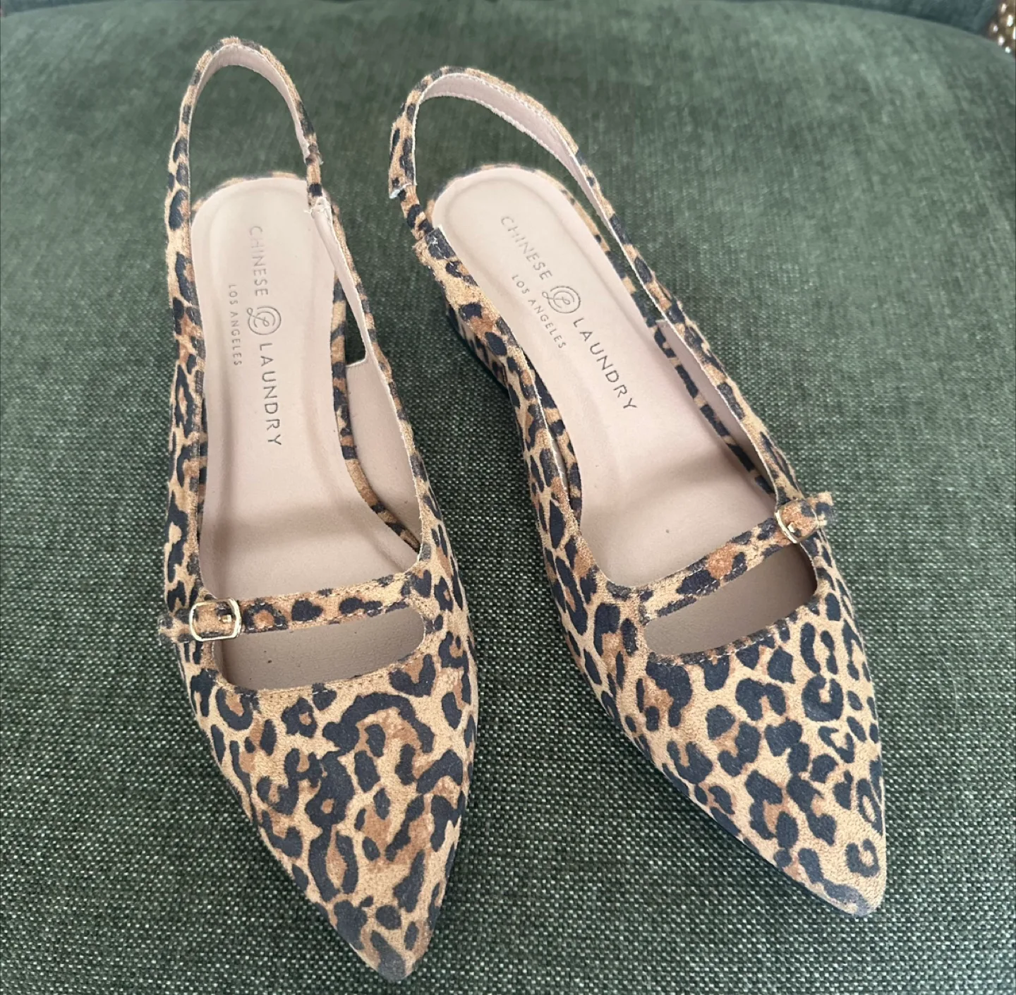 Leopard Flats image indicator(2)