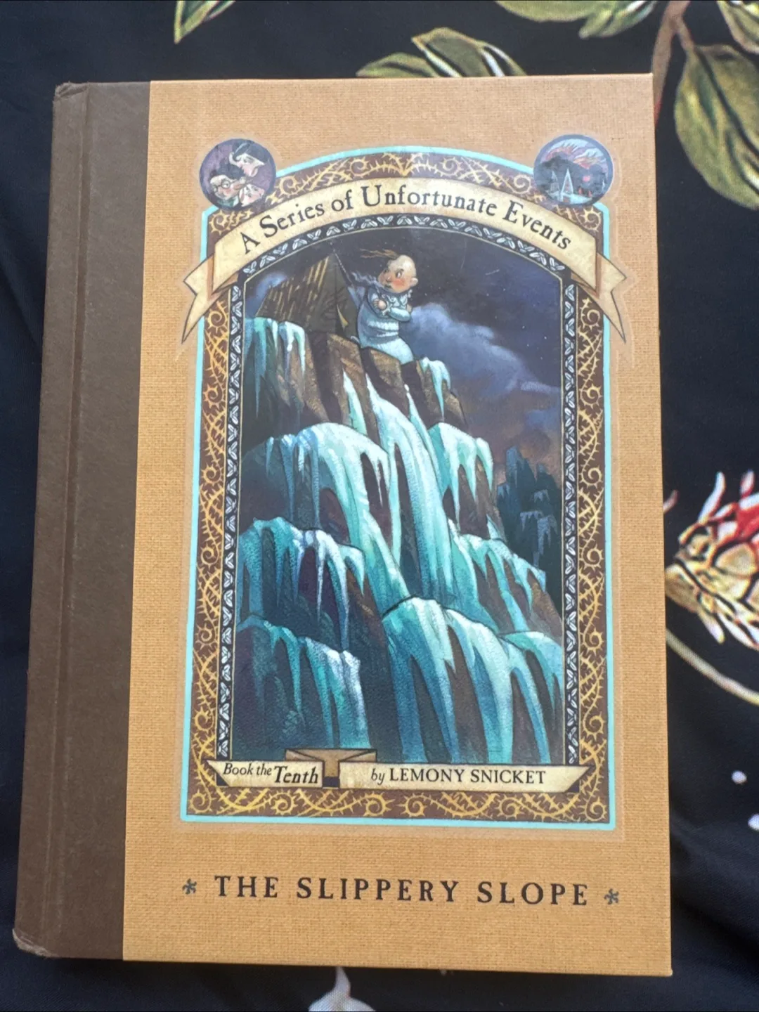 A Series of Unfortunate Events novel image indicator(2)