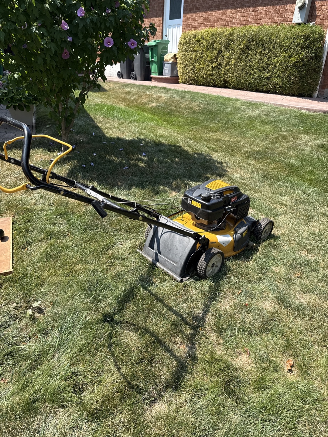 Cub Cadet 5.75 HP Lawn Mower - photo 2