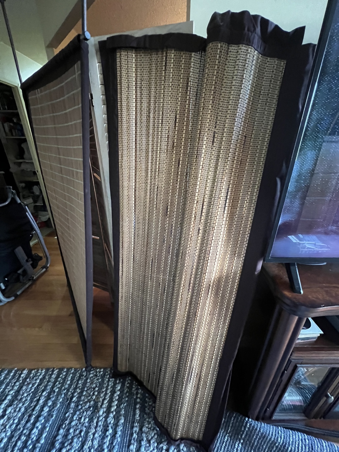 Room Divider / Privacy Screen - photo 2