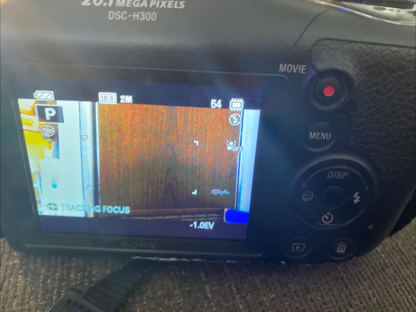 Sony Cyber-shot DSC-H300 Digital Camera image indicator(2)