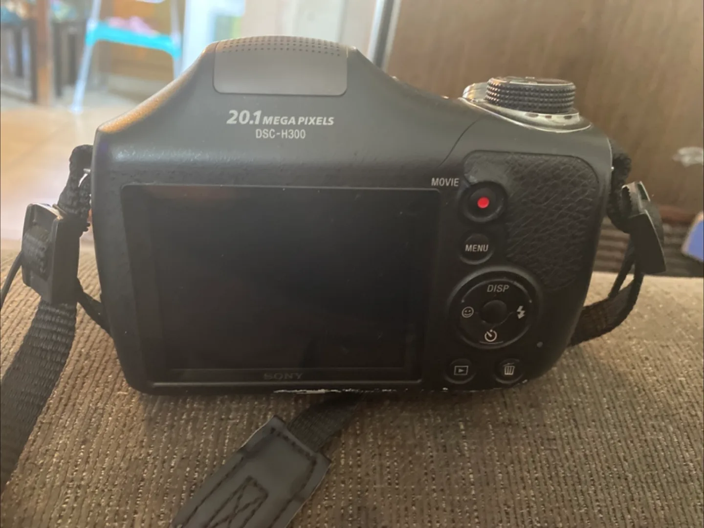 Sony Cyber-shot DSC-H300 Digital Camera image indicator(5)