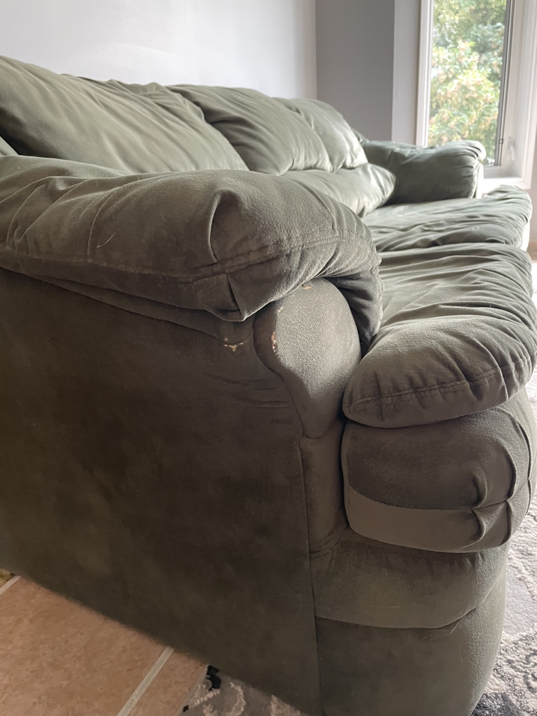 FREE Green Sofa - photo 4