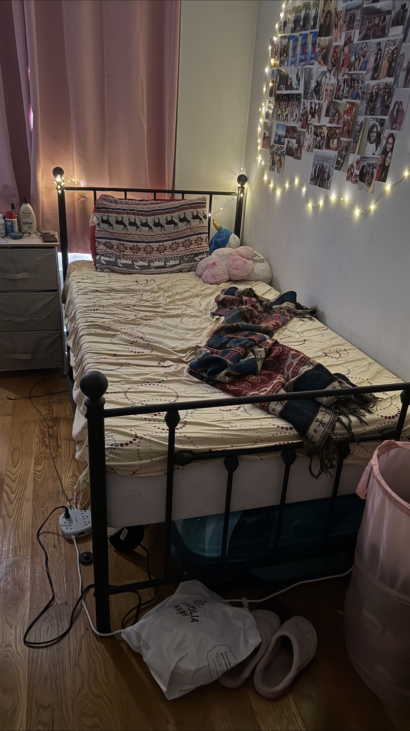 Metal bed frame (mattress free!) - twin size - photo 3
