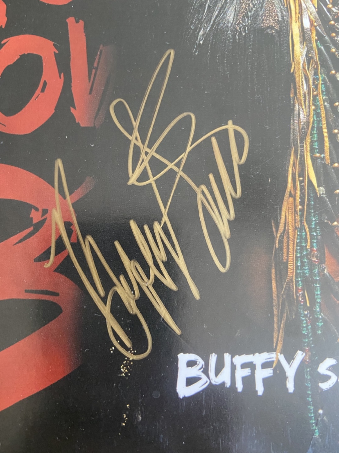 Buffy Sainte-Marie "Power in the Blood" Autographed Vinyl - photo 2
