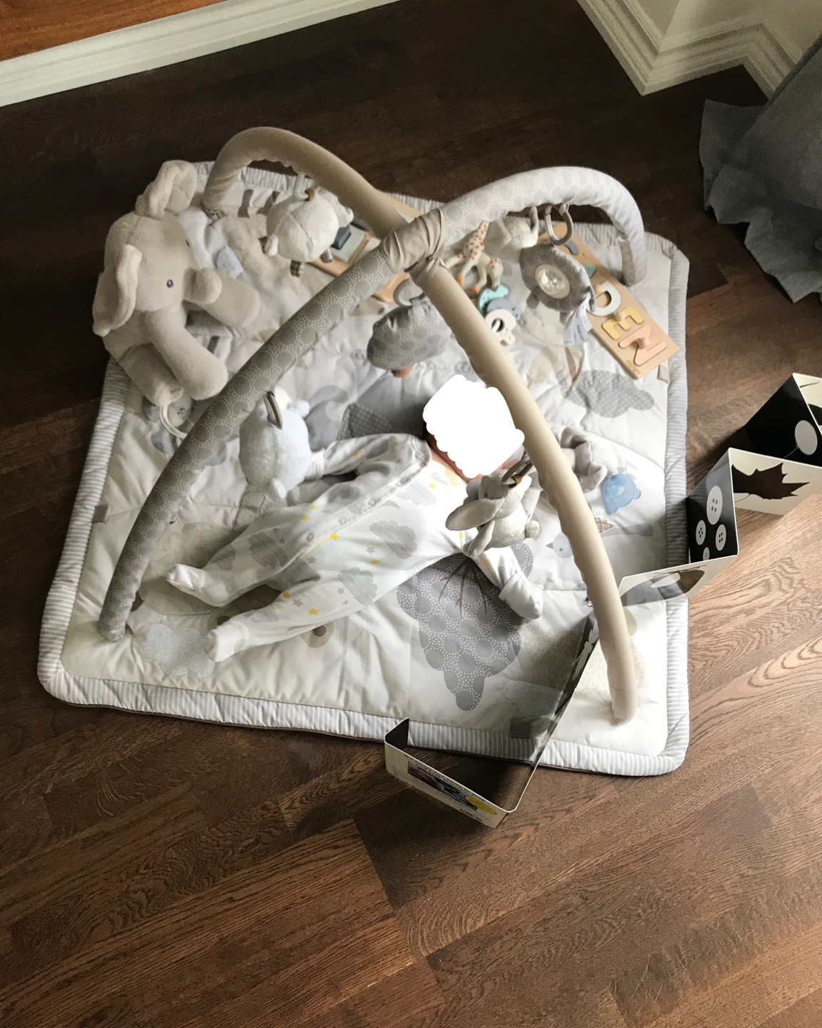 Pottery Barn Activity Mat