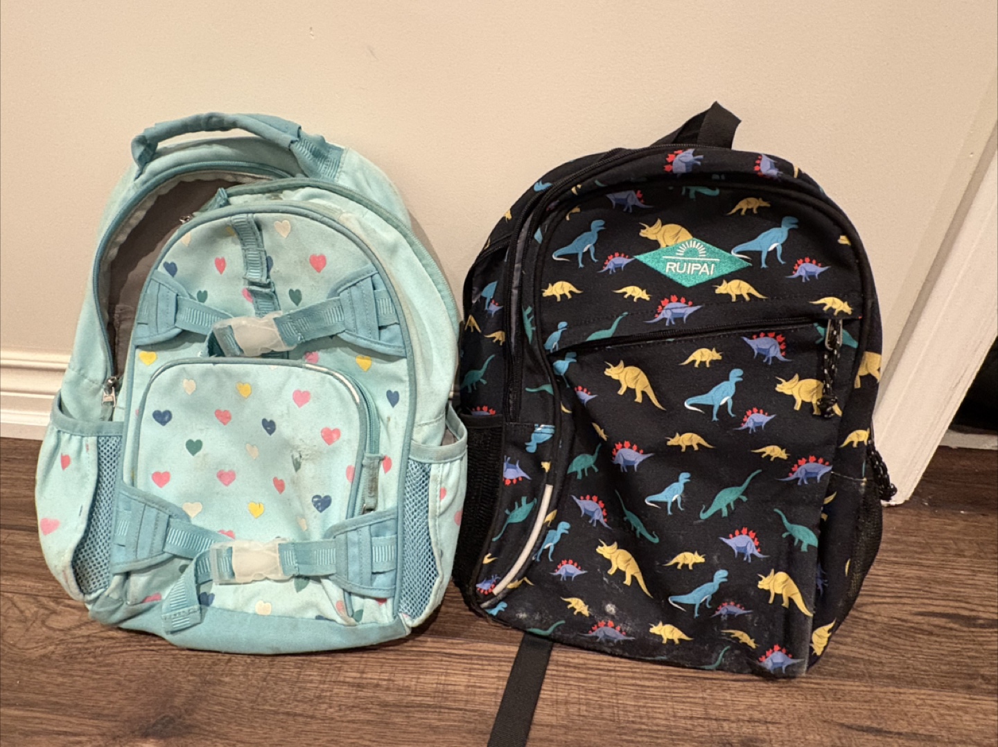 Two Kids Backpacks