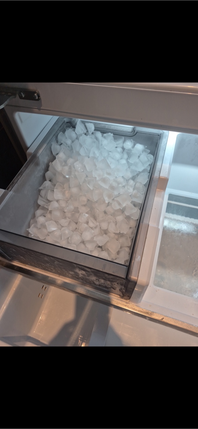 Frigidaire Professional French Door Refrigerator - photo 4