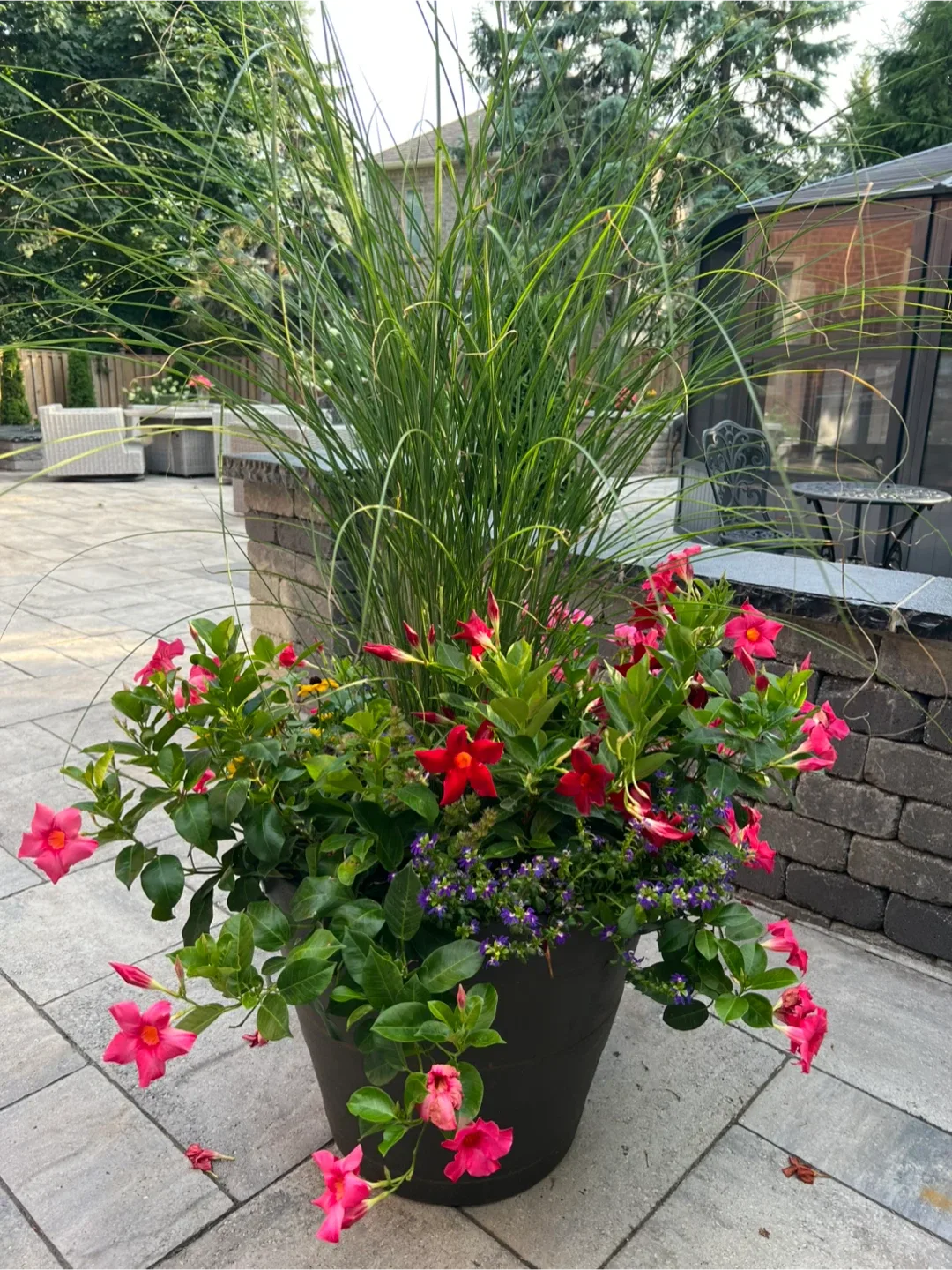 3 Potted Flower Arrangements image indicator(5)