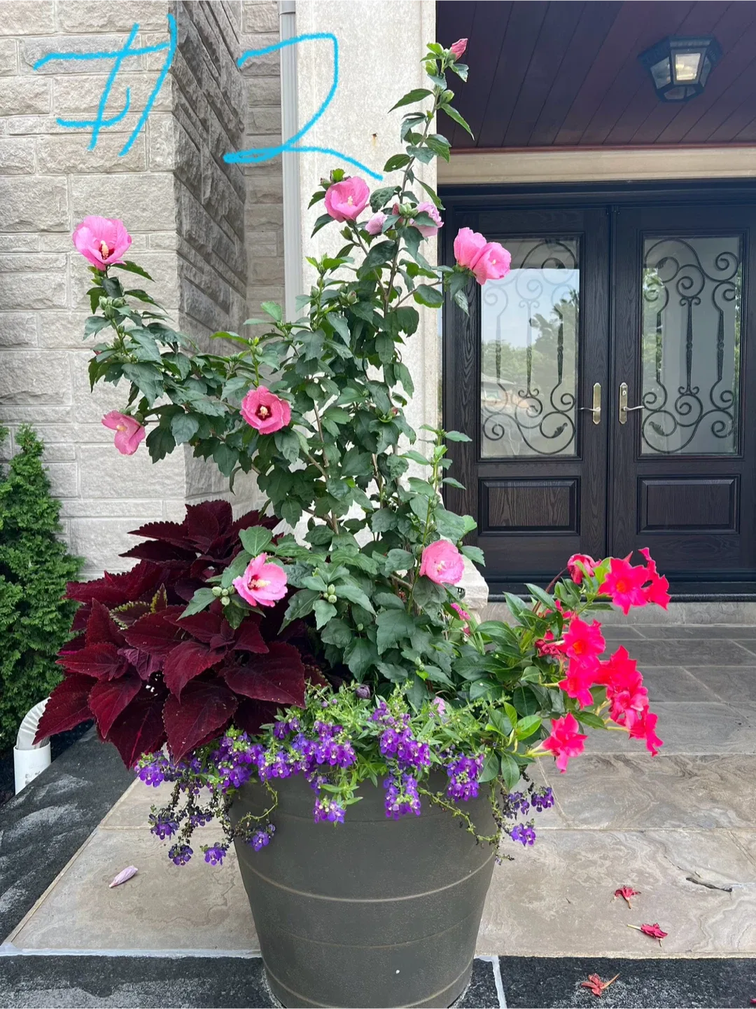 3 Potted Flower Arrangements image indicator(4)