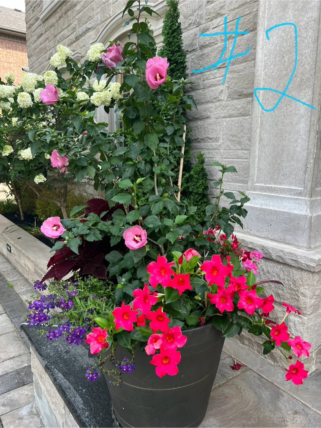 3 Potted Flower Arrangements image indicator(3)