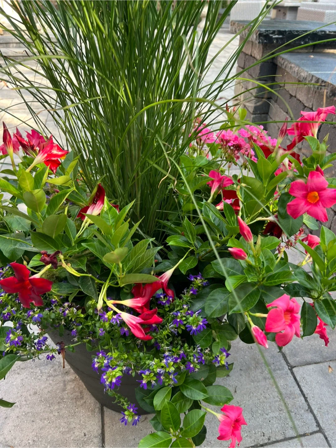 3 Potted Flower Arrangements image indicator(6)