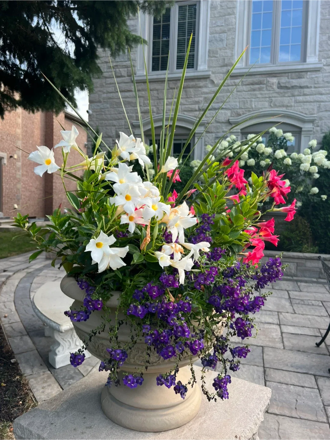 2 planters of gorgeous flowers image indicator(4)