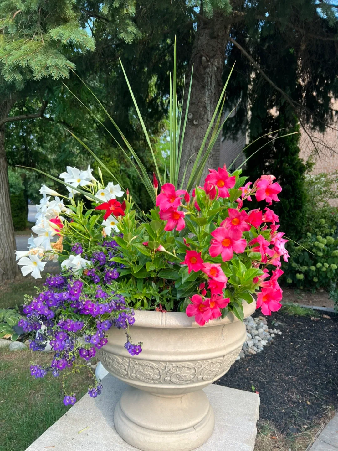 2 planters of gorgeous flowers image indicator(3)
