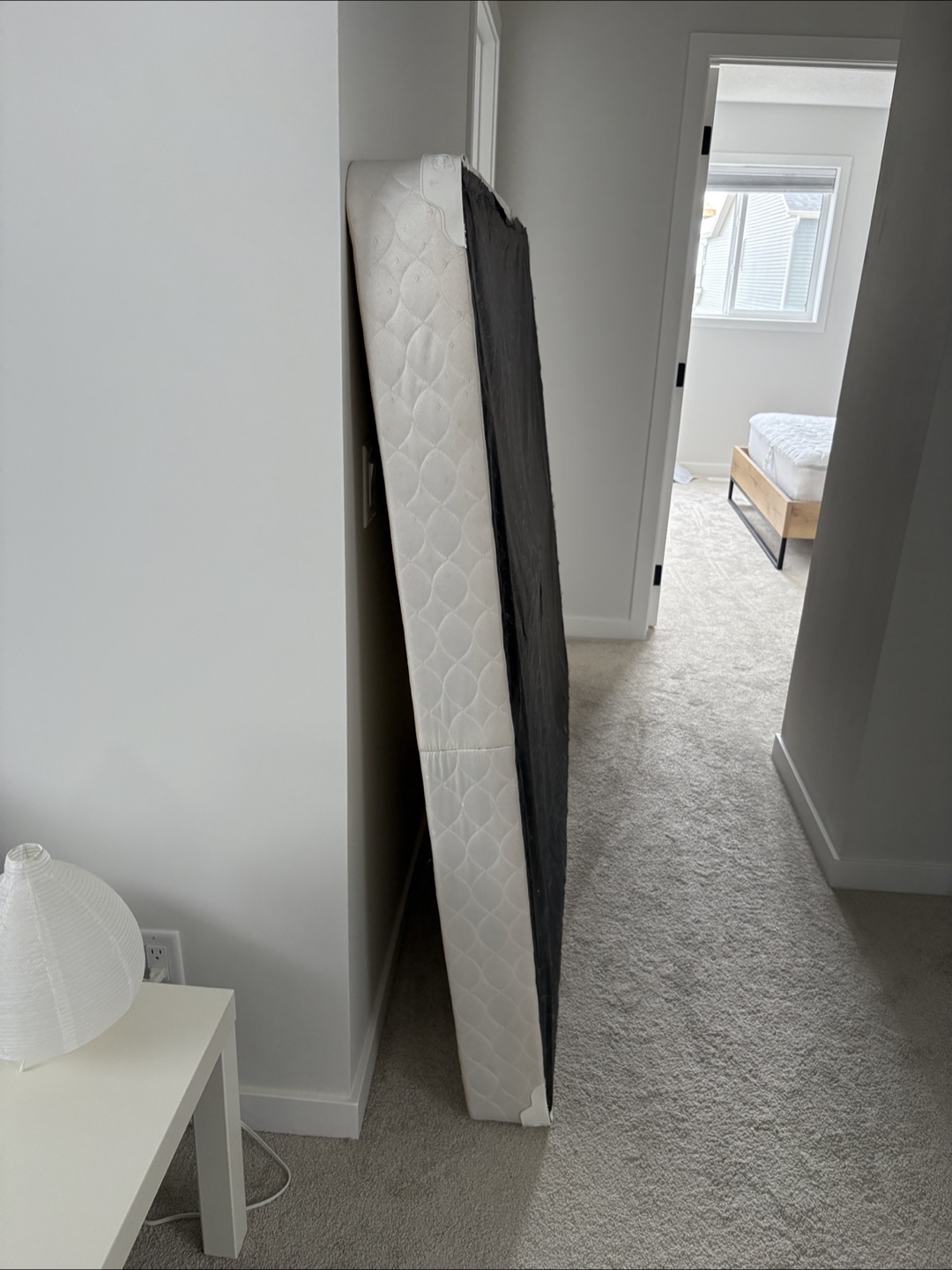 Sealy Queen Sized Box Spring