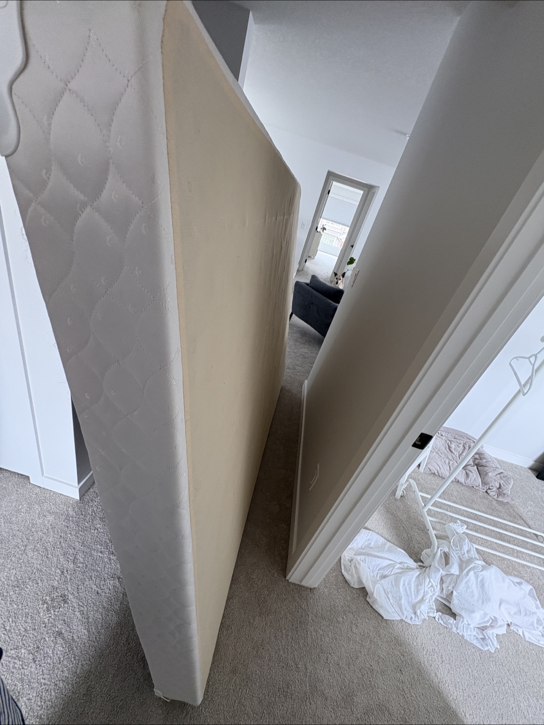 Sealy Queen Sized Box Spring - photo 2