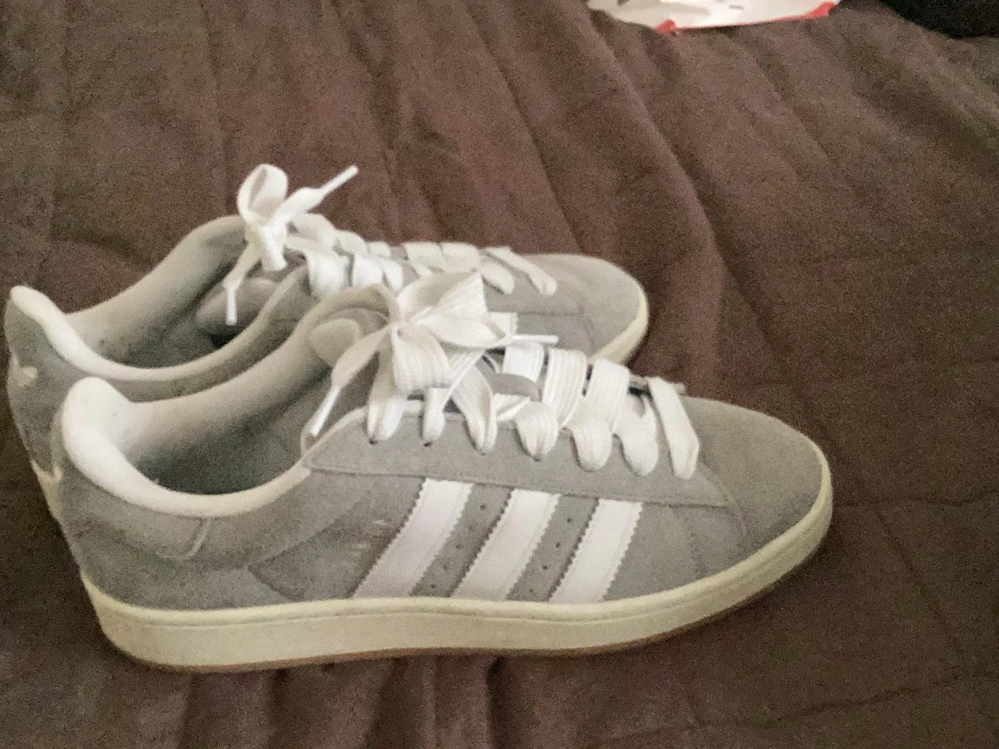 Adidas Campus Grey image indicator(2)