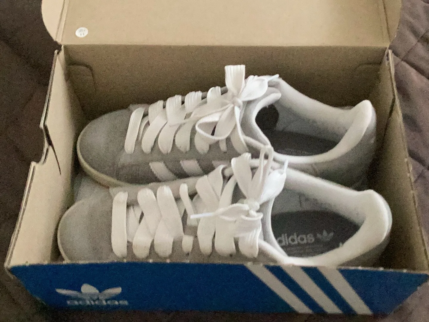 Adidas Campus Grey image indicator(3)