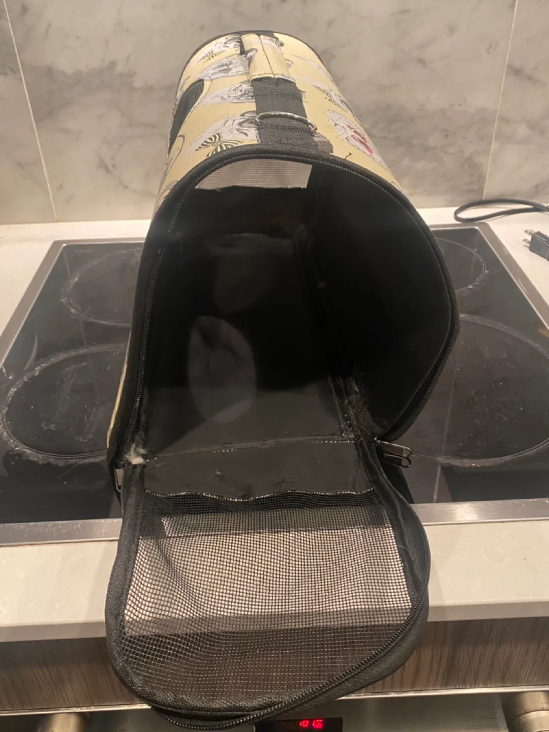 Cat Carrier image indicator(2)