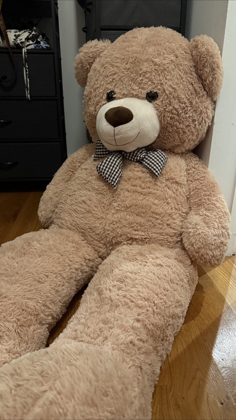 Giant Plush Teddy Bear