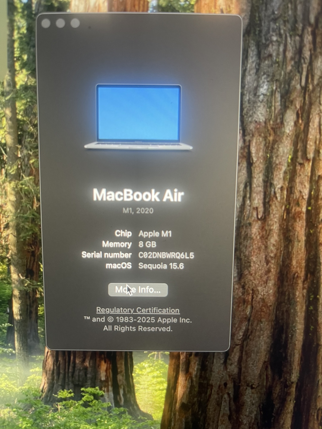 Apple MacBook Air M1, 8GB Memory