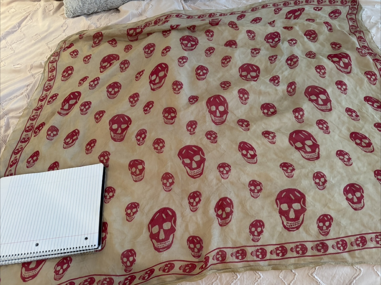 Alexander McQueen Skull Print Scarf