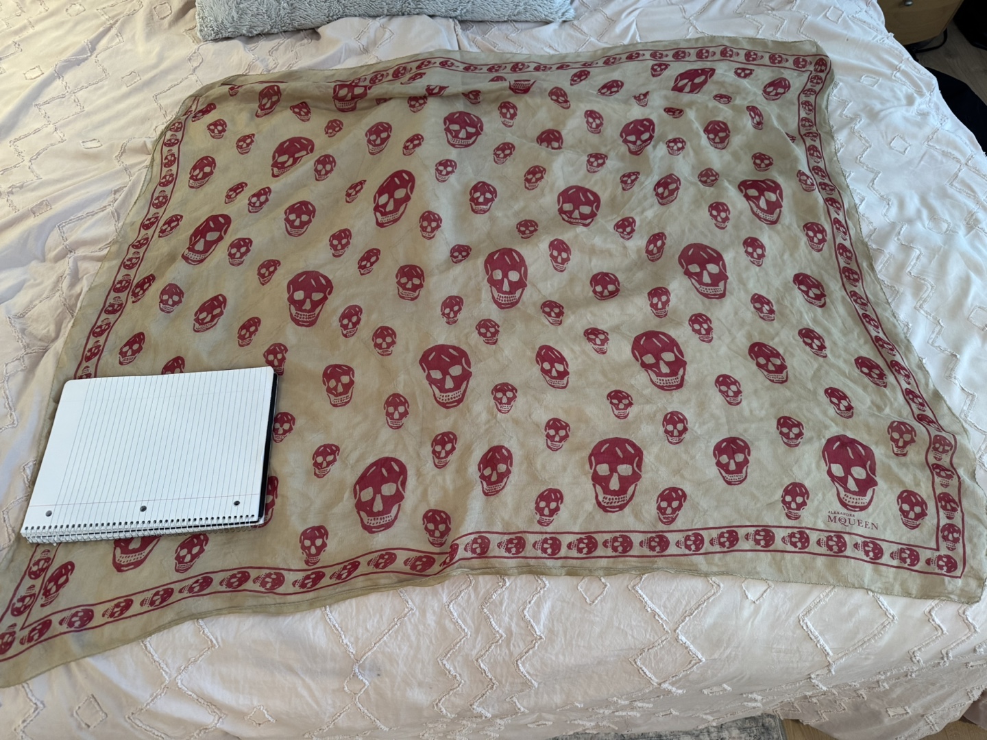 Alexander McQueen Skull Print Scarf - photo 2