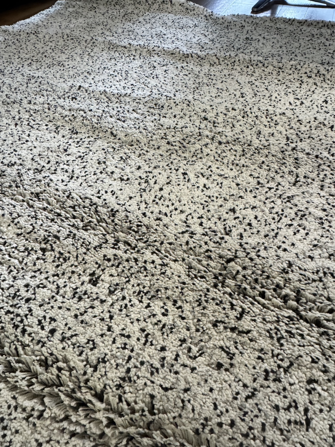 Speckled Shag Rug - photo 2