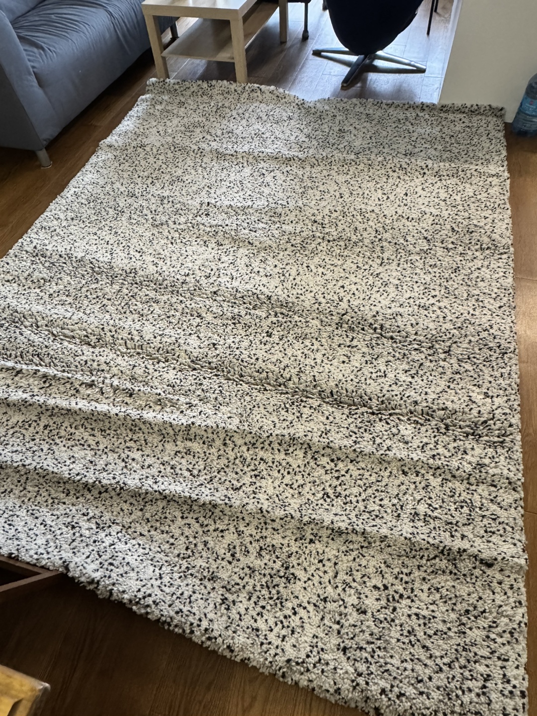 Speckled Shag Rug