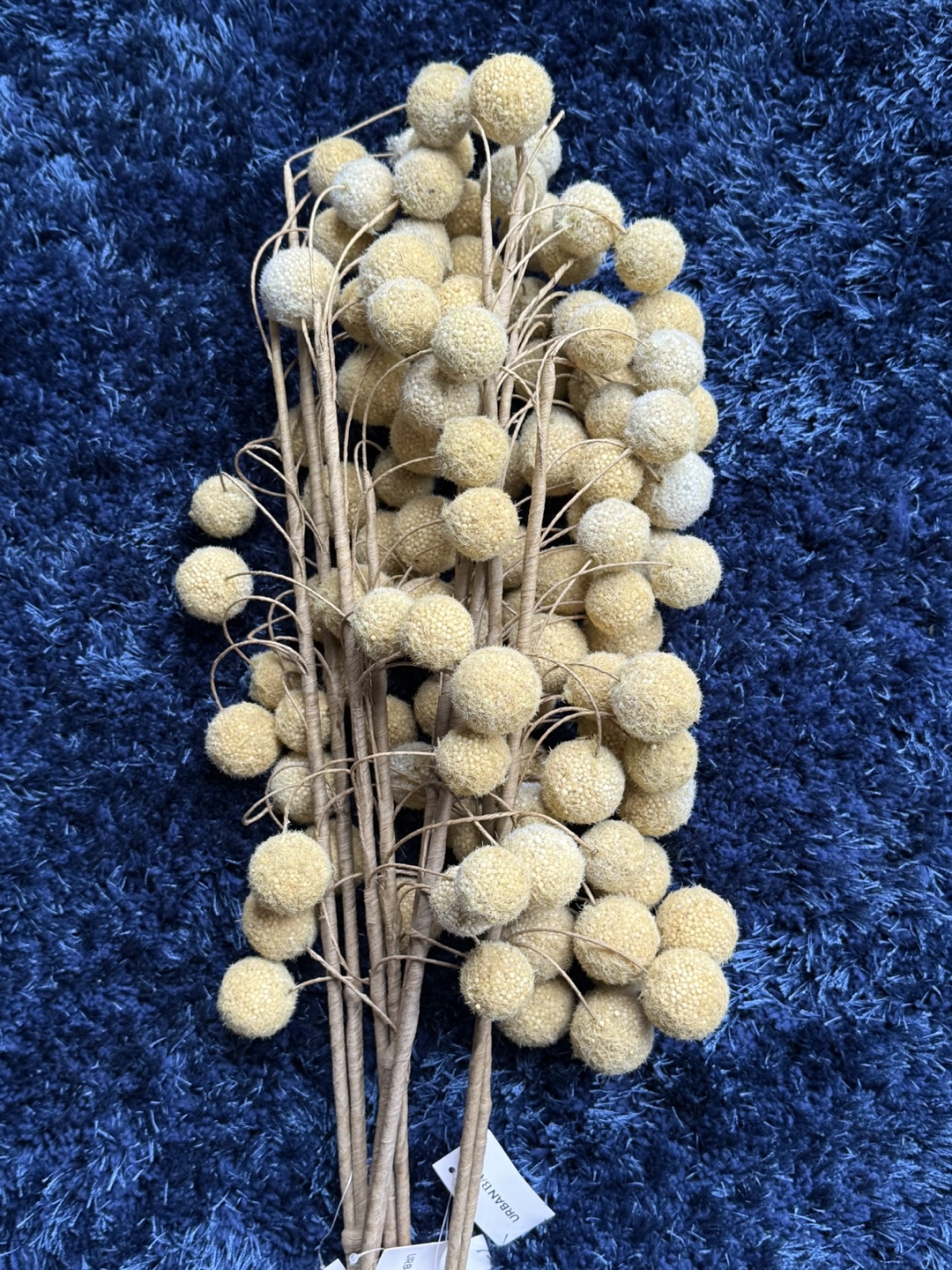Urban Barn artificial Dane Pom Pom stems - photo 4