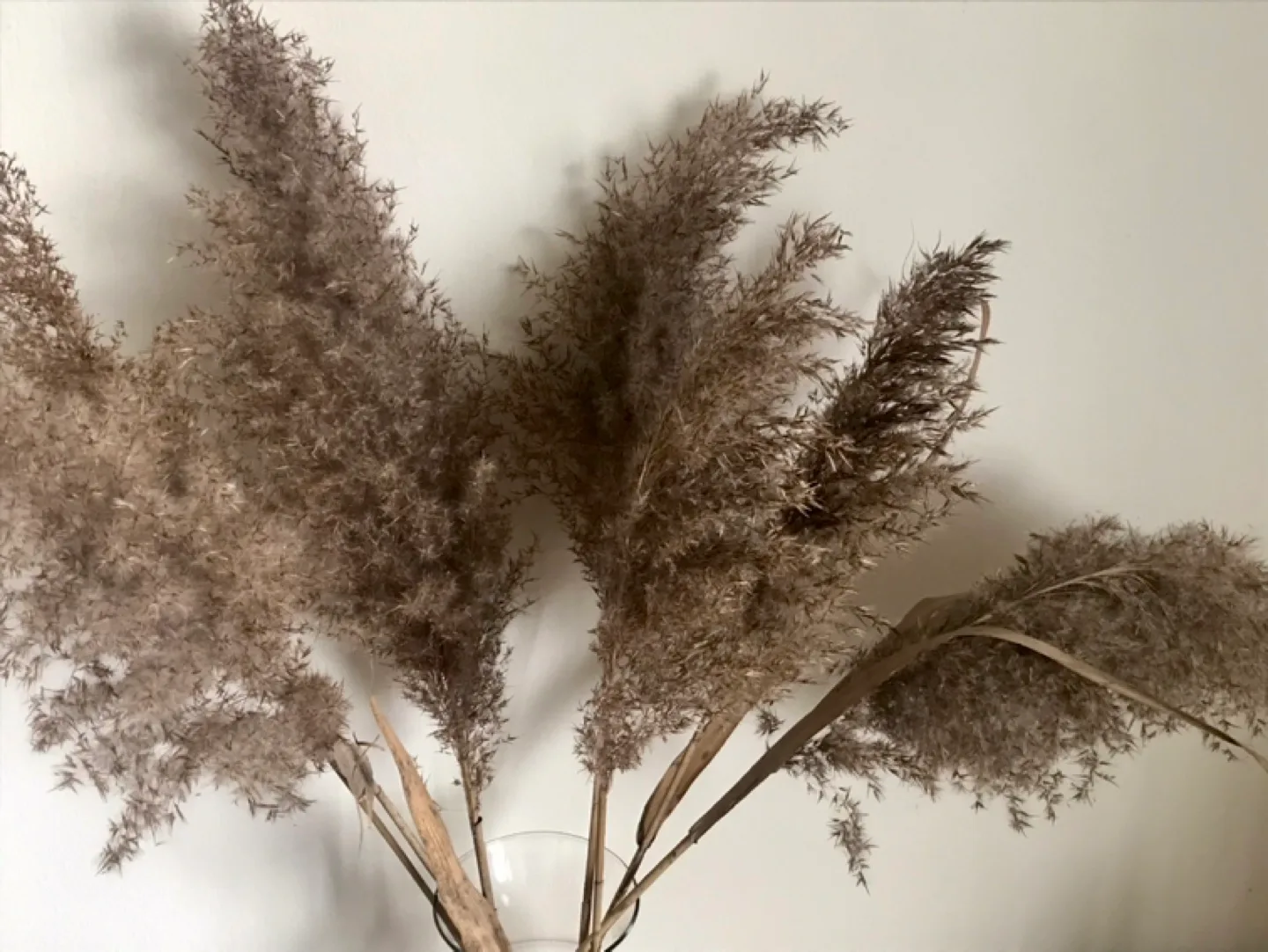 Glass Vase with Natural Wildflowers Arrangement image indicator(3)