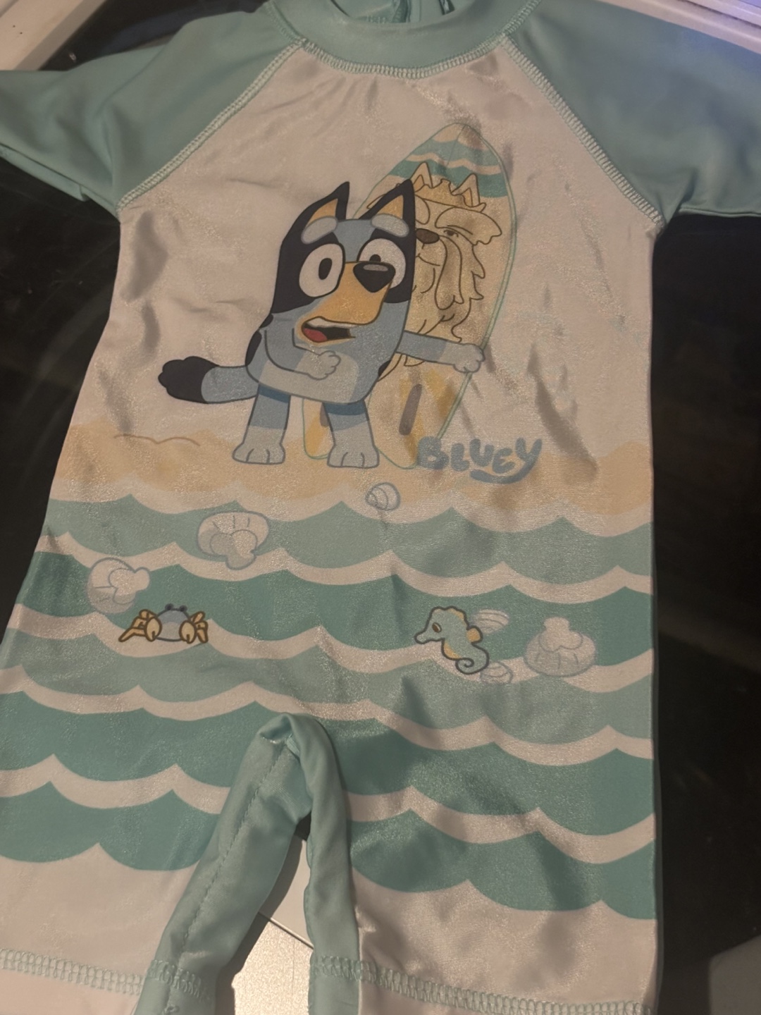 Bluey & Paw Patrol Swimsuits